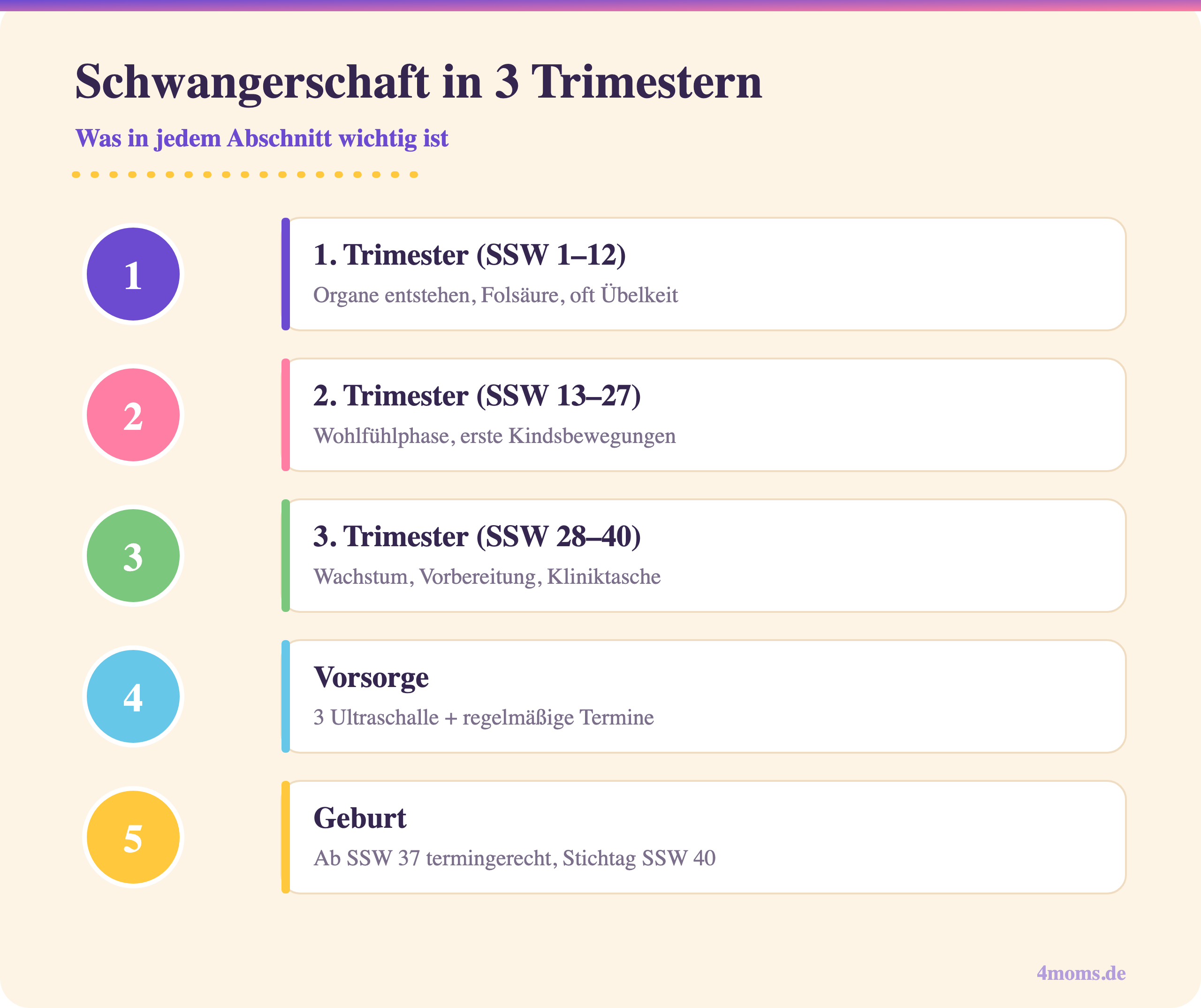 Schwangerschaft in 3 Trimestern